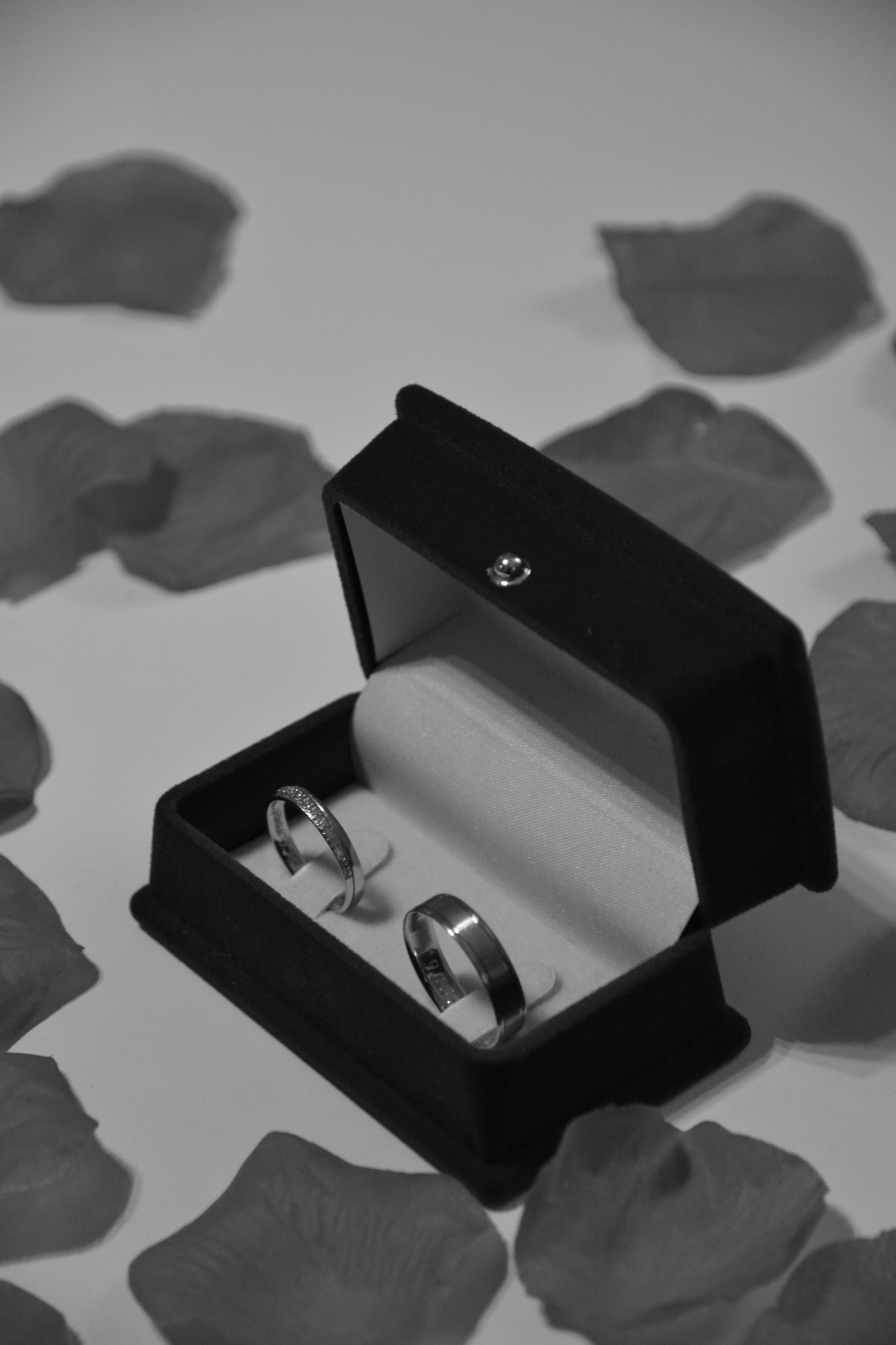 Mladenci u prirodi - romantična svadbena fotografija Beograd